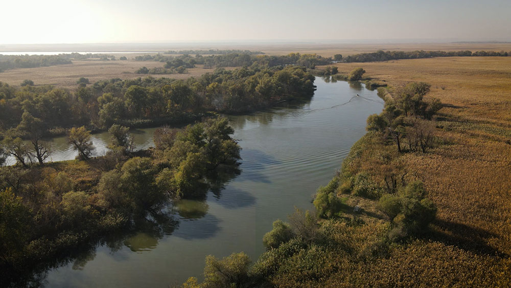 Нижньодністровський національний природний парк